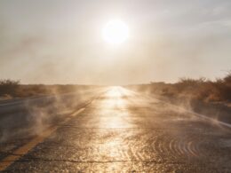 Heat haze rising off an empty rural highway under a blazing midsummer sun