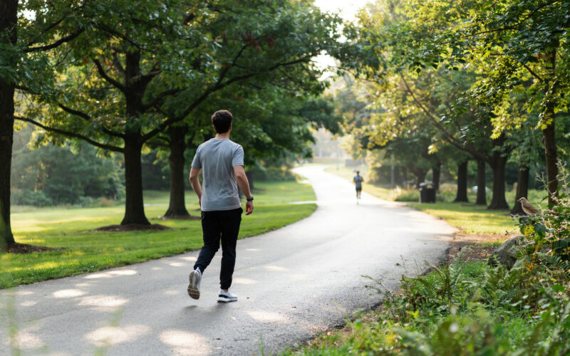 Person walking on a scenic tree-lined path in morning light showing the walking trend