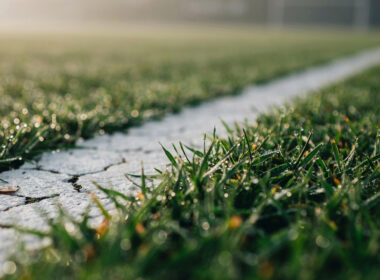 Low angle detail of a painted white goal line on dew covered green turf in morning light