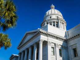South Carolina Senate runoff, white capitol dome and palmettos against a vivid blue sky
