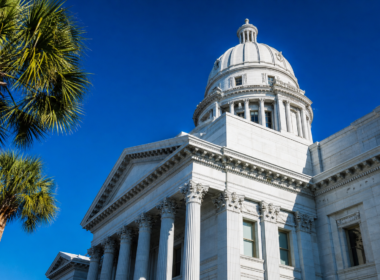 South Carolina Senate runoff, white capitol dome and palmettos against a vivid blue sky