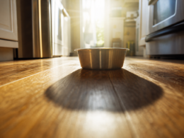 Dog food recall concept, low angle across a kitchen floor toward a backlit empty steel bowl