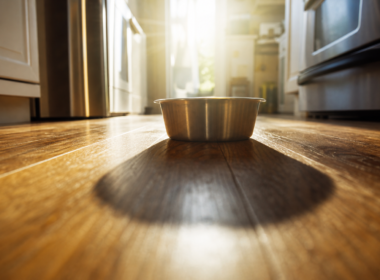 Dog food recall concept, low angle across a kitchen floor toward a backlit empty steel bowl