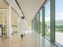 Bright sunlit research laboratory corridor with a motion blurred figure in a white coat walking away
