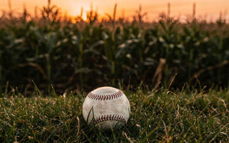 Field of Dreams Game concept: a baseball on grass beside a cornfield at golden dusk