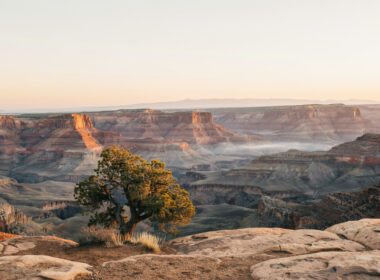 National parks fee free day concept, canyon at sunrise with gold rim light over blue shadow