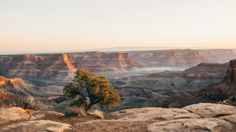 National parks fee free day concept, canyon at sunrise with gold rim light over blue shadow