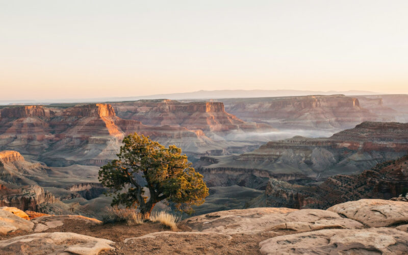National parks fee free day concept, canyon at sunrise with gold rim light over blue shadow