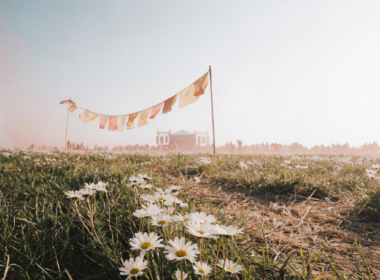 Olivia Rodrigo Daisy Chain Fields festival field with daisies in the foreground and a distant stage