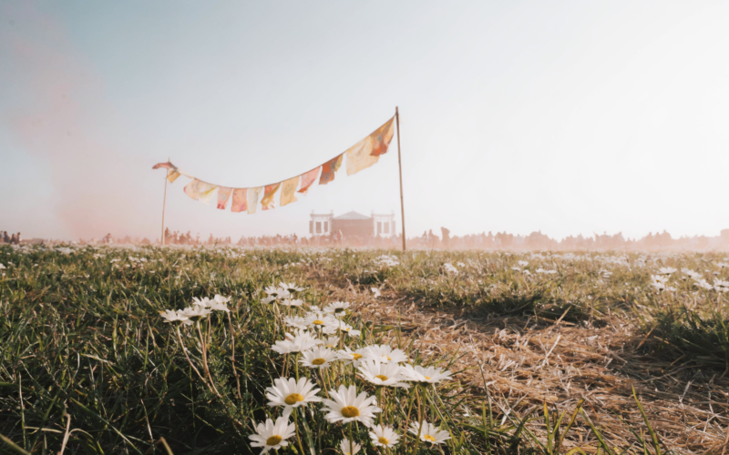 Olivia Rodrigo Daisy Chain Fields festival field with daisies in the foreground and a distant stage