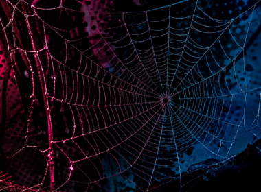 Beyond the Spider-Verse concept: a glowing multicolored spiderweb on a comic-book style background