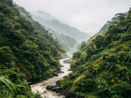 Tropical Storm Moke concept, heavy rain over a steep volcanic valley with a swollen stream