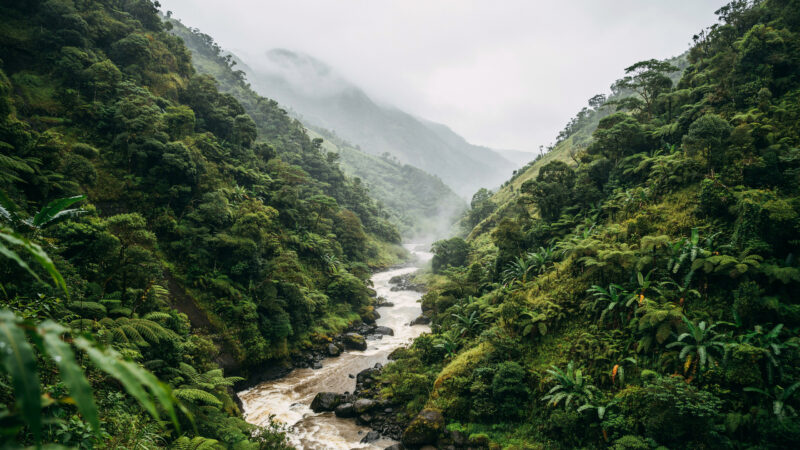 Tropical Storm Moke concept, heavy rain over a steep volcanic valley with a swollen stream