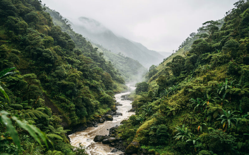 Tropical Storm Moke concept, heavy rain over a steep volcanic valley with a swollen stream