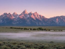 Teton mountain range at dawn rising above a misty sagebrush meadow in Wyoming