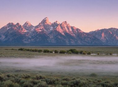Teton mountain range at dawn rising above a misty sagebrush meadow in Wyoming